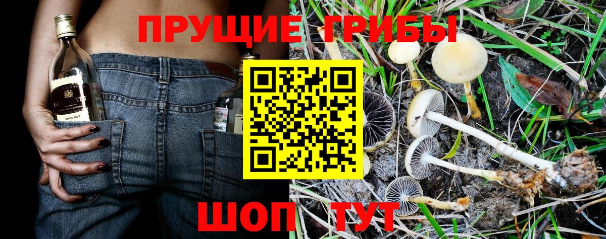 Дубна  Галлюциногенные грибы GOLDEN TEACHER  Псилоцибиновые грибы мухоморы  Вход с VPN 